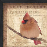 Female Cardinal 2 Black Framed Print Wall Art - Homeroots