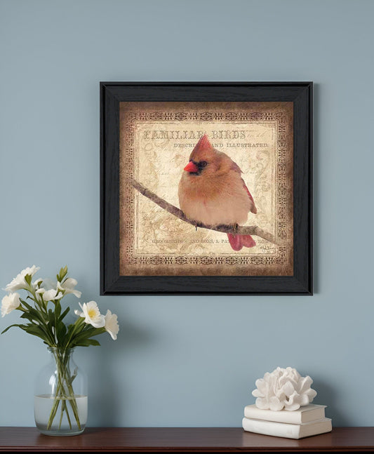 Female Cardinal 2 Black Framed Print Wall Art - Homeroots