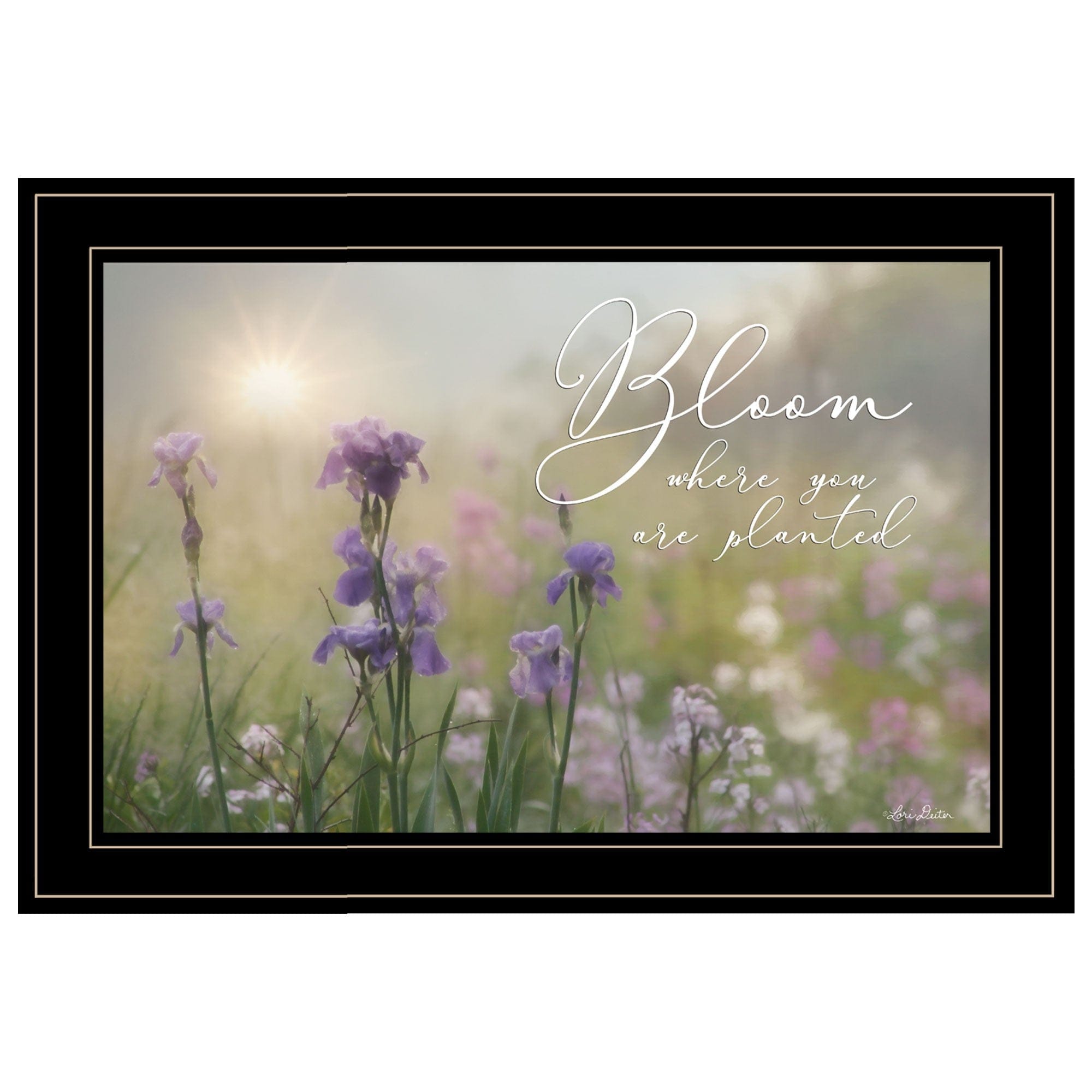 Bloom where you are planted 2 Black Framed Print Wall Art - Homeroots