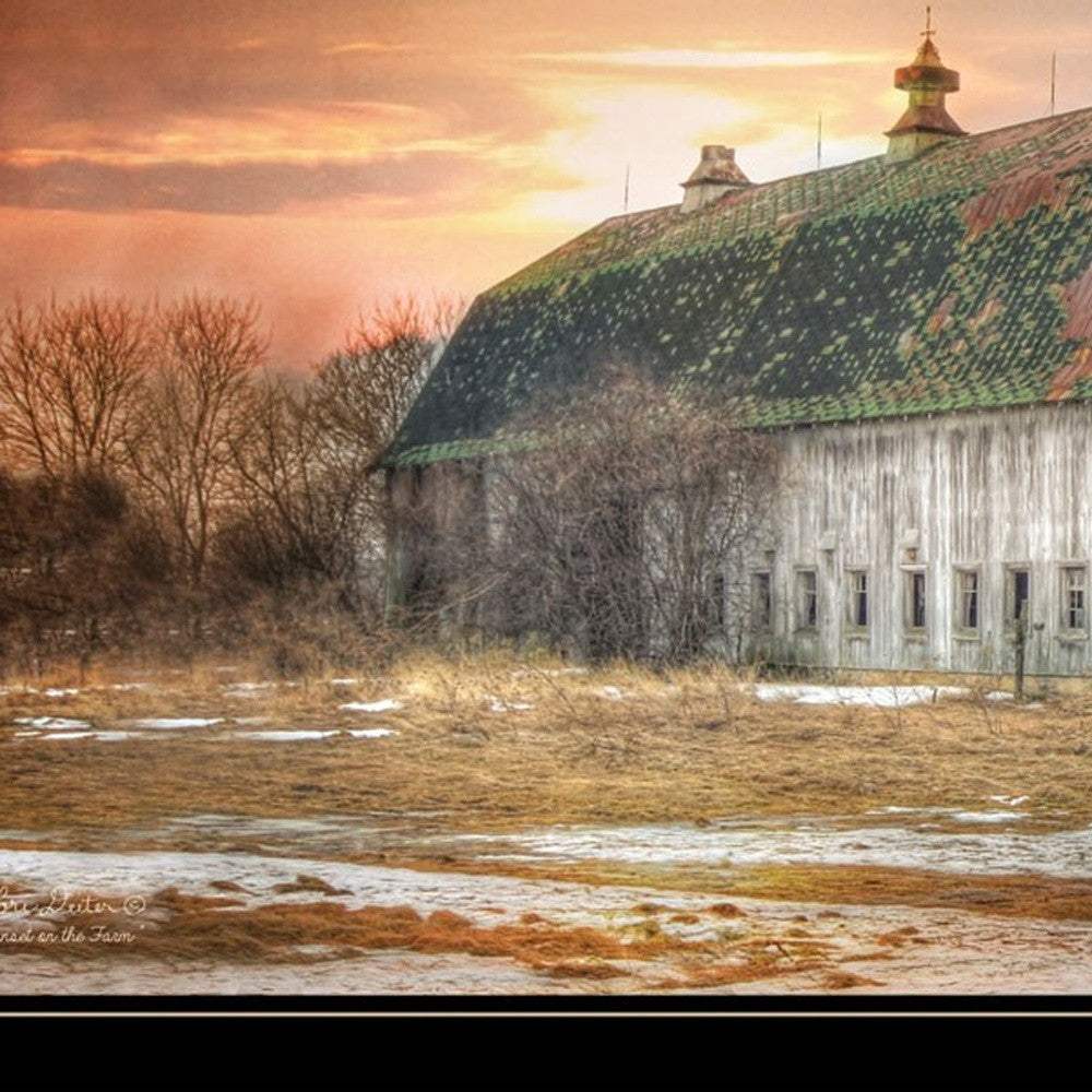 Sunset on the Farm 2 Black Framed Print Wall Art - Homeroots - Flyclothing LLC