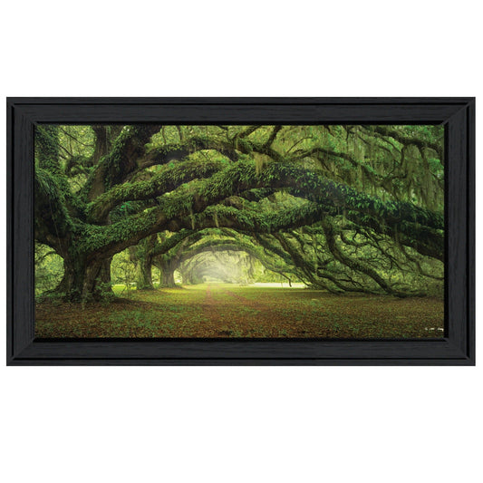 Passage 1 Black Framed Print Wall Art - Homeroots