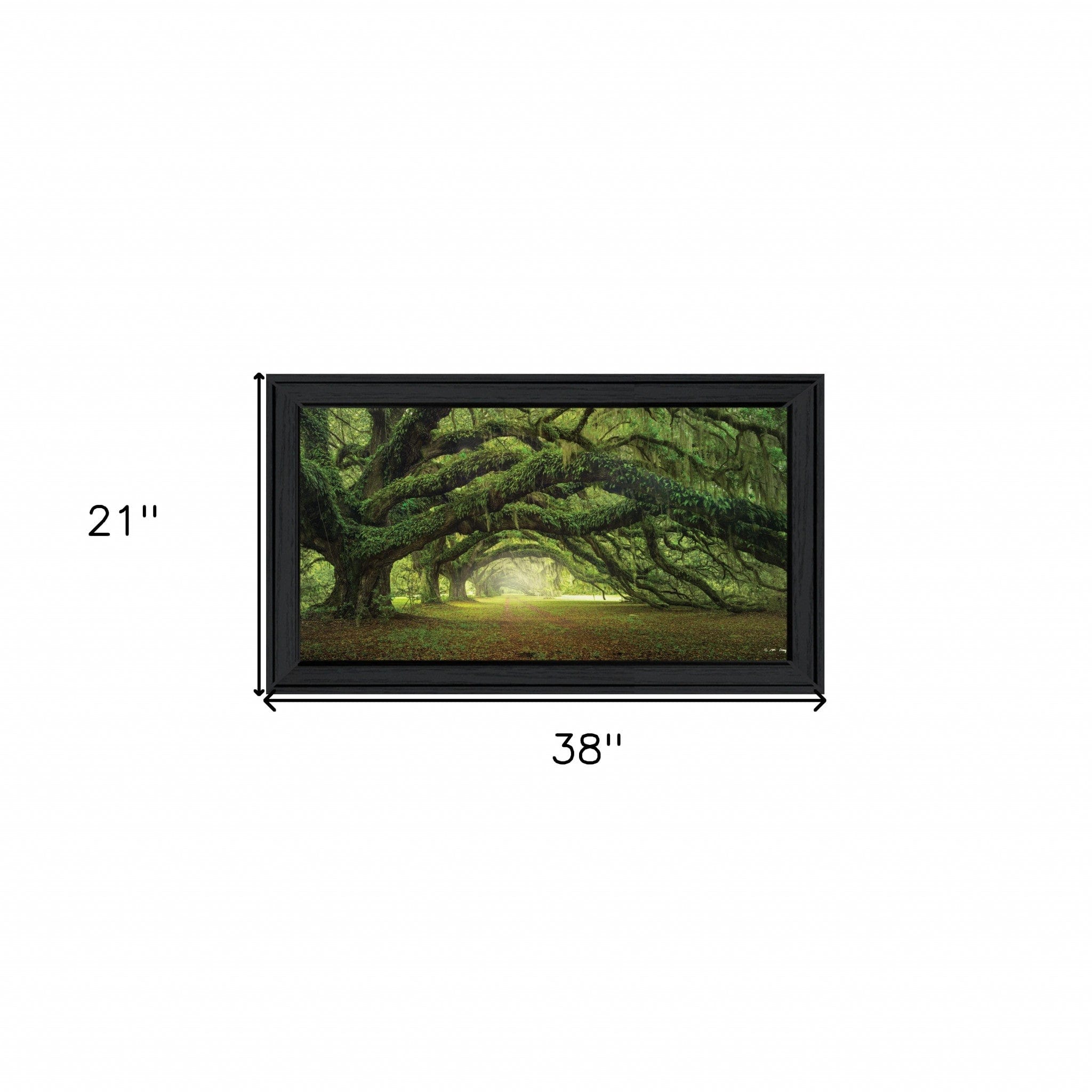Passage 1 Black Framed Print Wall Art - Homeroots