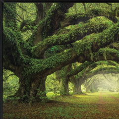 Passage 1 Black Framed Print Wall Art - Homeroots
