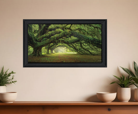 Passage 1 Black Framed Print Wall Art - Homeroots