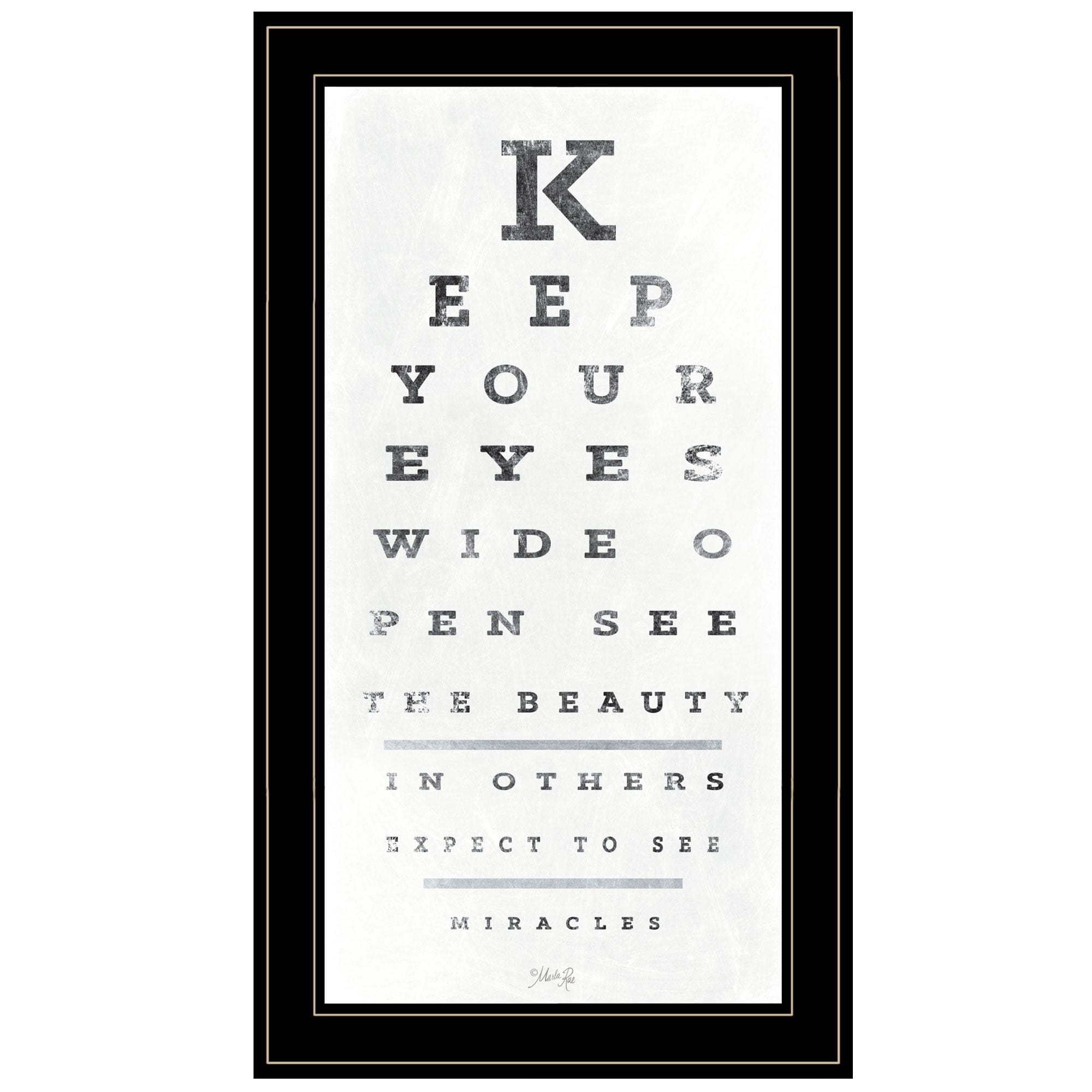Eye Chart II 3 Black Framed Print Wall Art - Homeroots