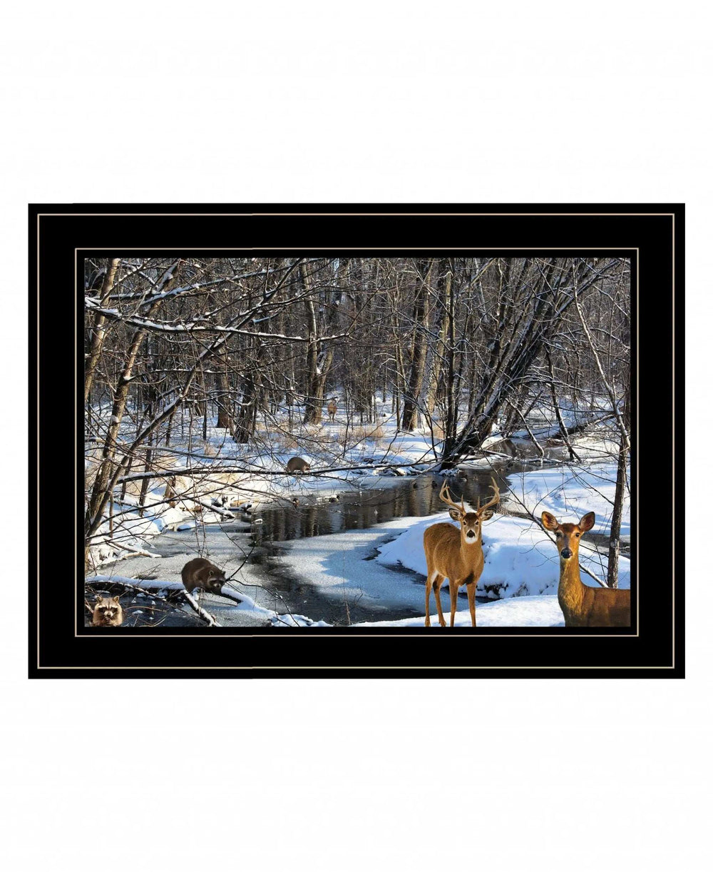 Great Outdoors Nature 2 Black Framed Print Wall Art - Homeroots - Flyclothing LLC