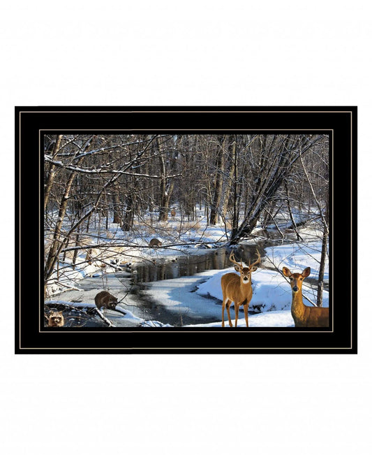 Great Outdoors Nature 2 Black Framed Print Wall Art - Homeroots - Flyclothing LLC