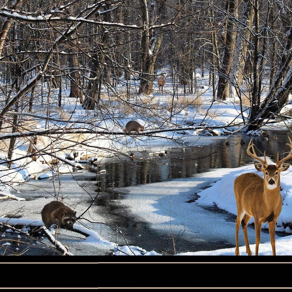 Great Outdoors Nature 2 Black Framed Print Wall Art - Homeroots - Flyclothing LLC