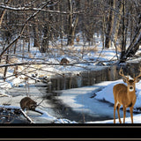 Great Outdoors Nature 2 Black Framed Print Wall Art - Homeroots