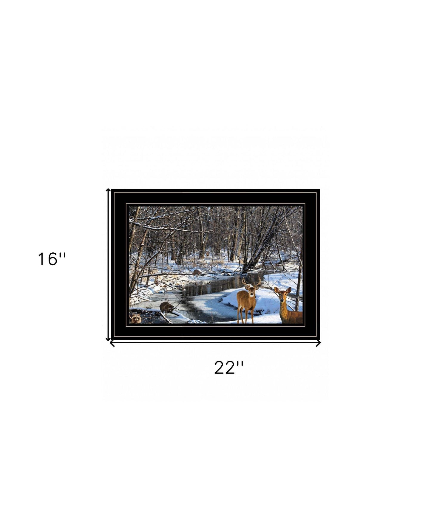 Great Outdoors Nature 2 Black Framed Print Wall Art - Homeroots - Flyclothing LLC