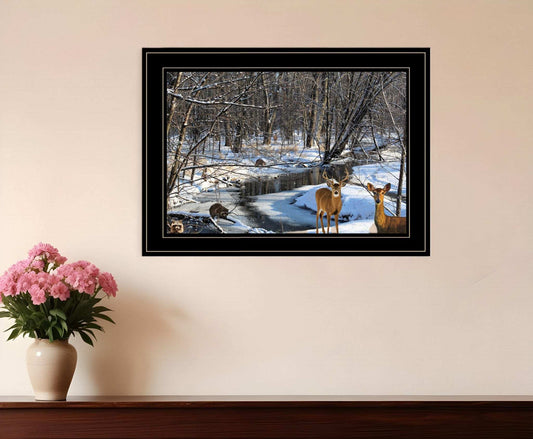 Great Outdoors Nature 2 Black Framed Print Wall Art - Homeroots - Flyclothing LLC