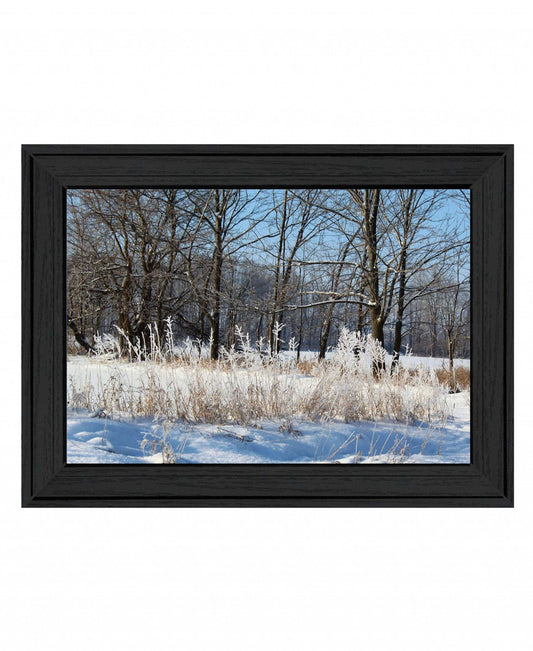 Natures Simple Blessings 1 Black Framed Print Wall Art - Homeroots - Flyclothing LLC