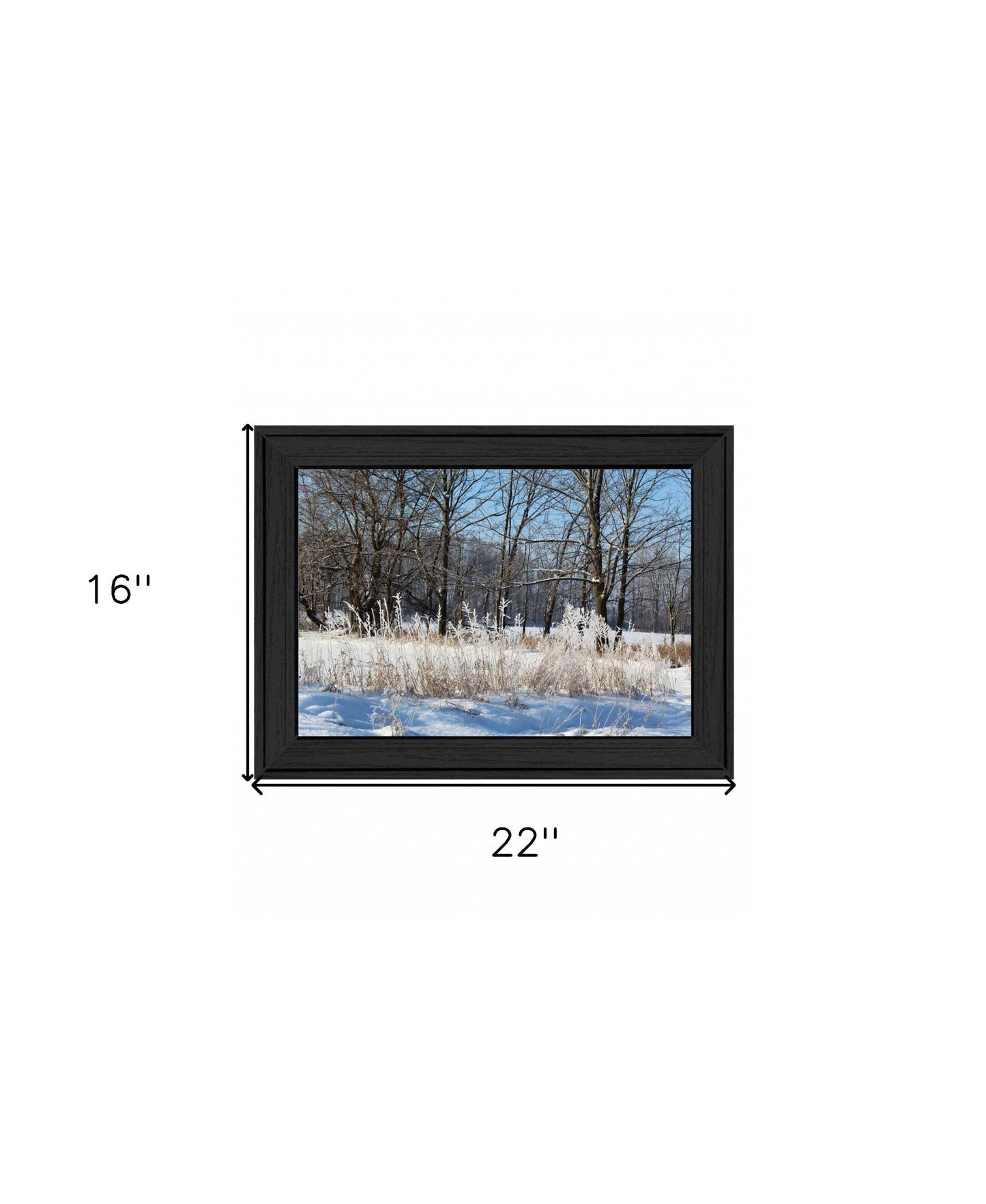 Natures Simple Blessings 1 Black Framed Print Wall Art - Homeroots - Flyclothing LLC