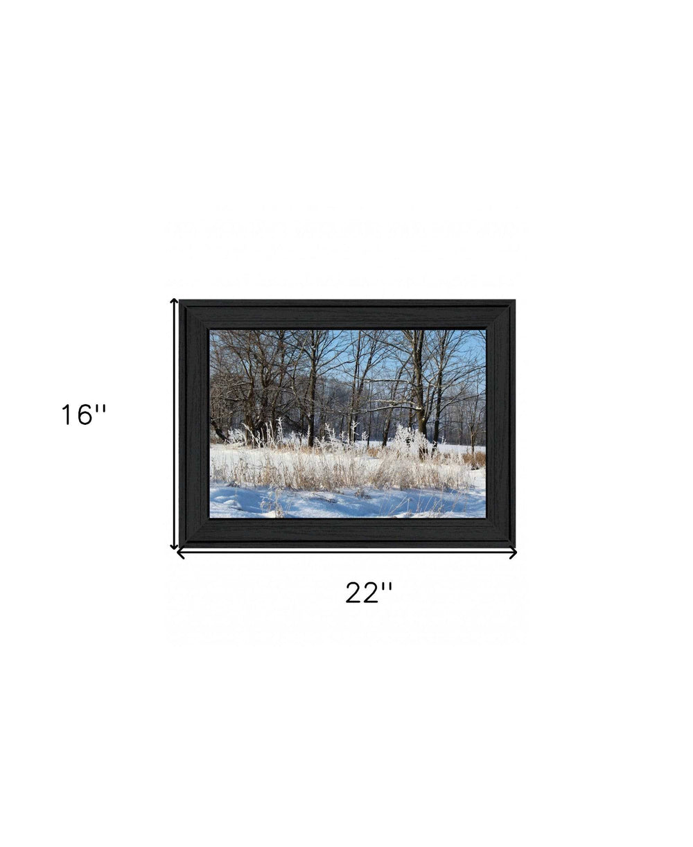Natures Simple Blessings 1 Black Framed Print Wall Art - Homeroots - Flyclothing LLC