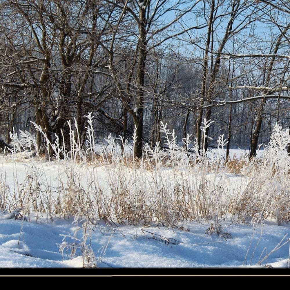 Natures Simple Blessings 2 Black Framed Print Wall Art - Homeroots - Flyclothing LLC