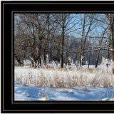 Natures Simple Blessings 2 Black Framed Print Wall Art - Homeroots - Flyclothing LLC