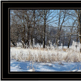 Natures Simple Blessings 2 Black Framed Print Wall Art - Homeroots