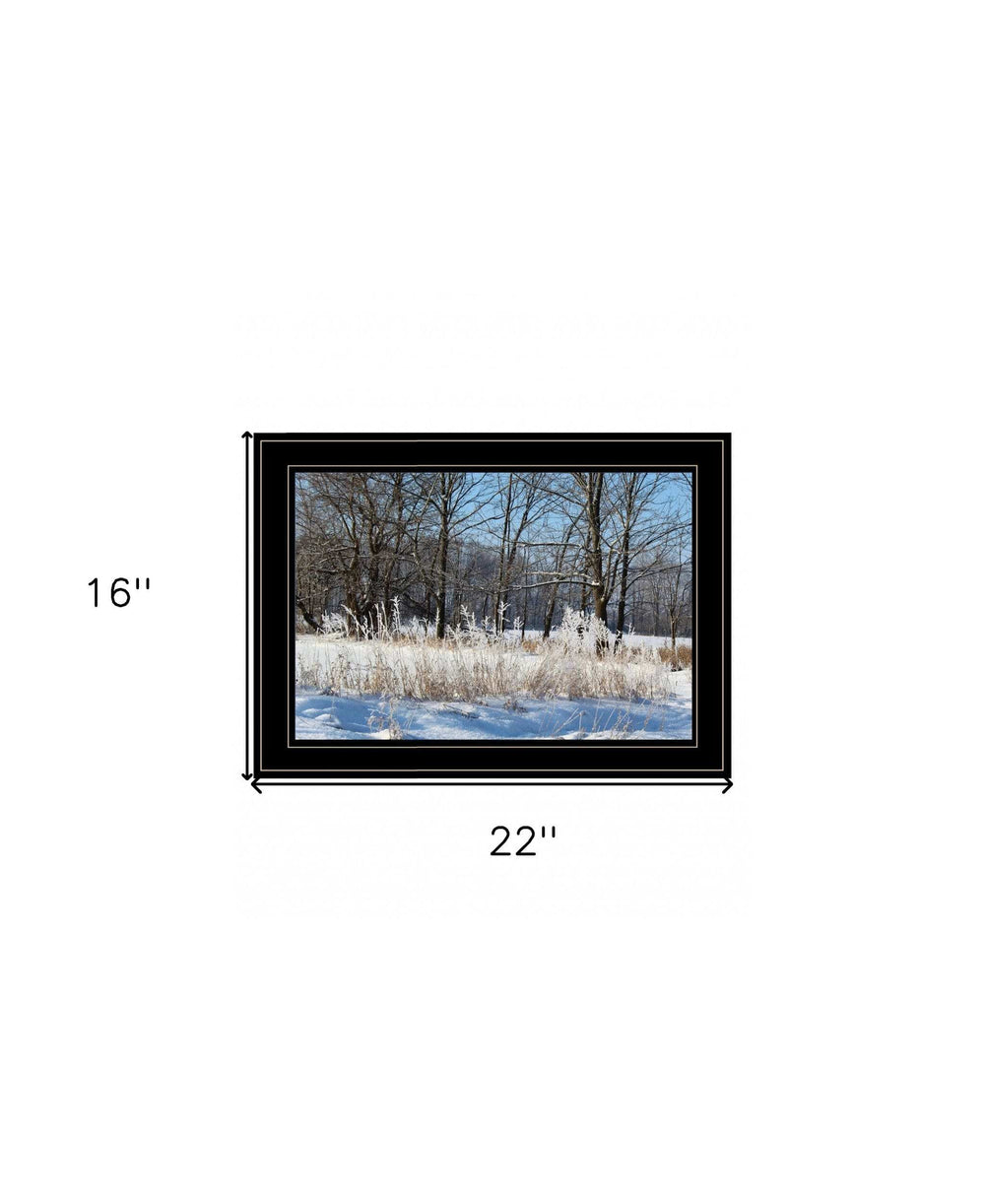 Natures Simple Blessings 2 Black Framed Print Wall Art - Homeroots - Flyclothing LLC