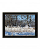 Natures Simple Blessings 3 Black Framed Print Wall Art - Homeroots