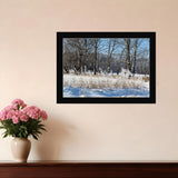 Natures Simple Blessings 3 Black Framed Print Wall Art - Homeroots