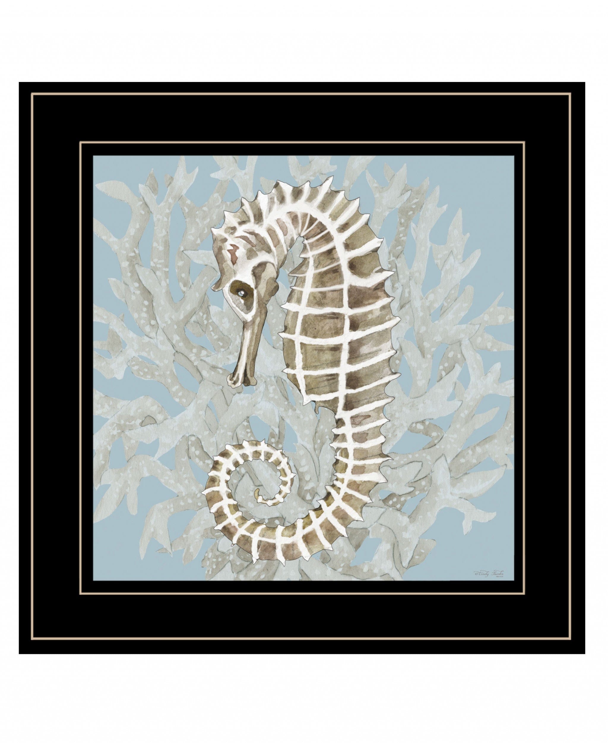Coral Seahorse II 3 Black Framed Print Wall Art - Homeroots