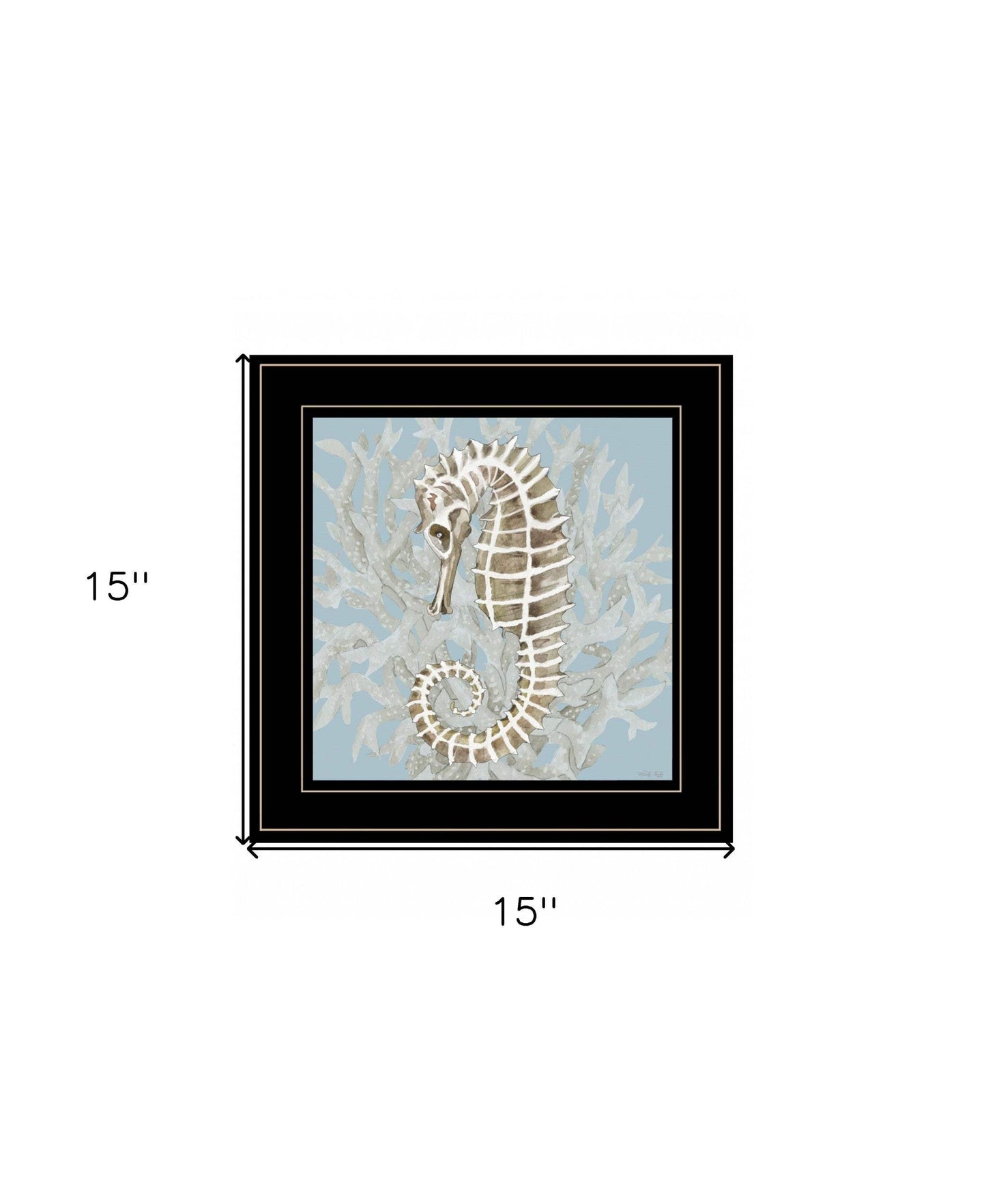 Coral Seahorse II 3 Black Framed Print Wall Art - Homeroots - Flyclothing LLC