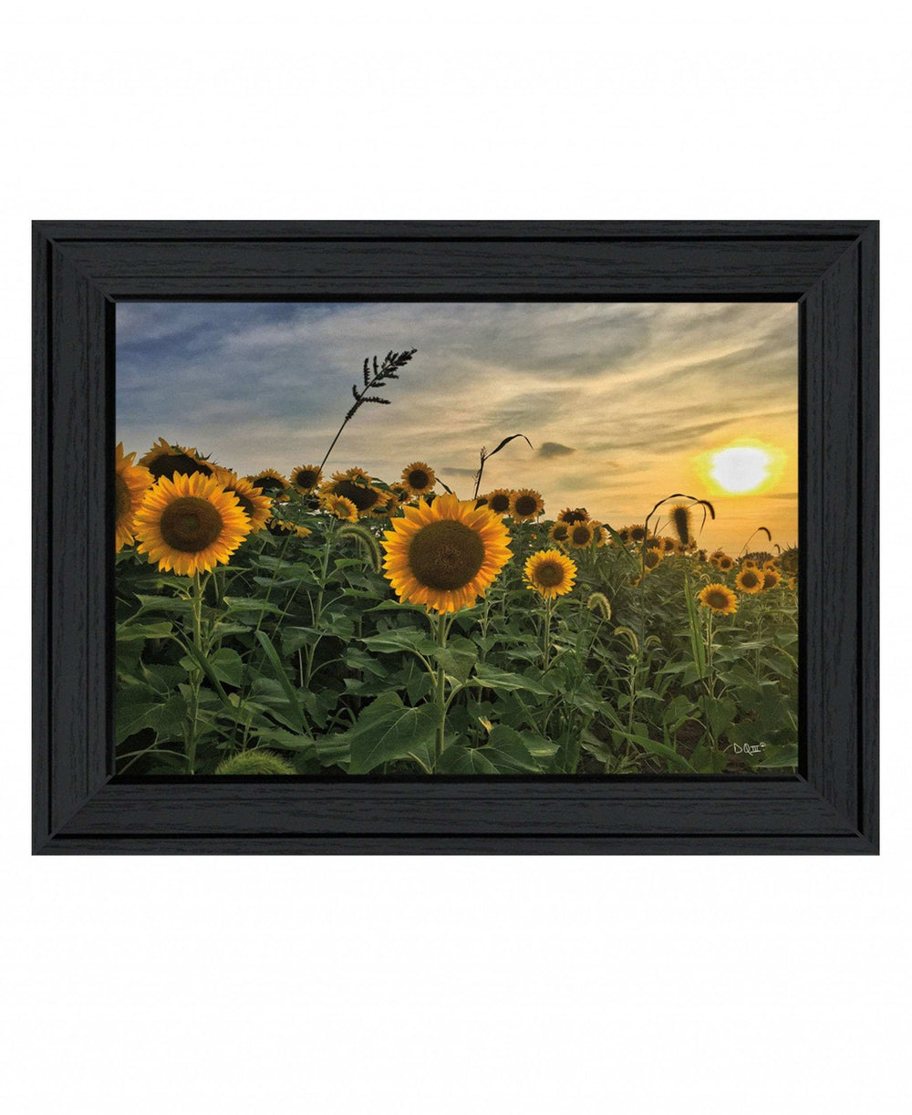 Midwest Livin I 2 Black Framed Print Wall Art - Homeroots - Flyclothing LLC