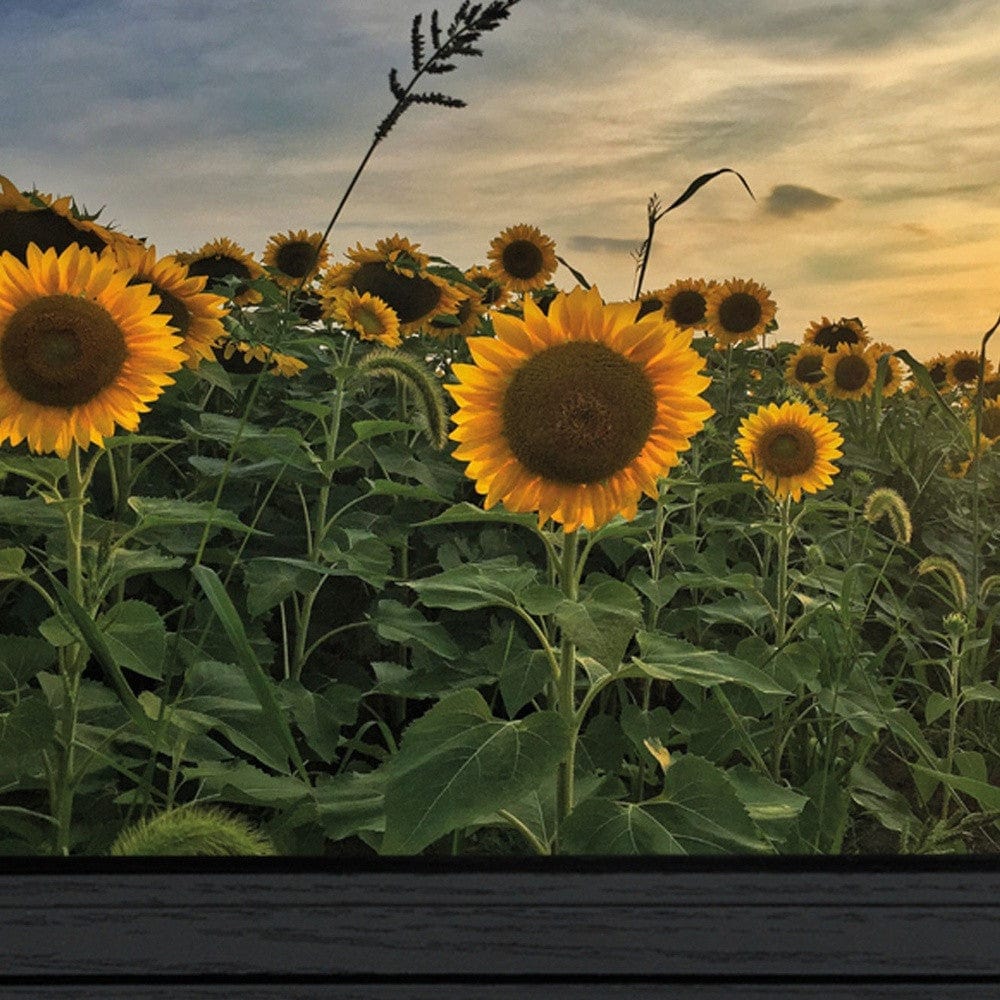Midwest Livin I 2 Black Framed Print Wall Art - Homeroots