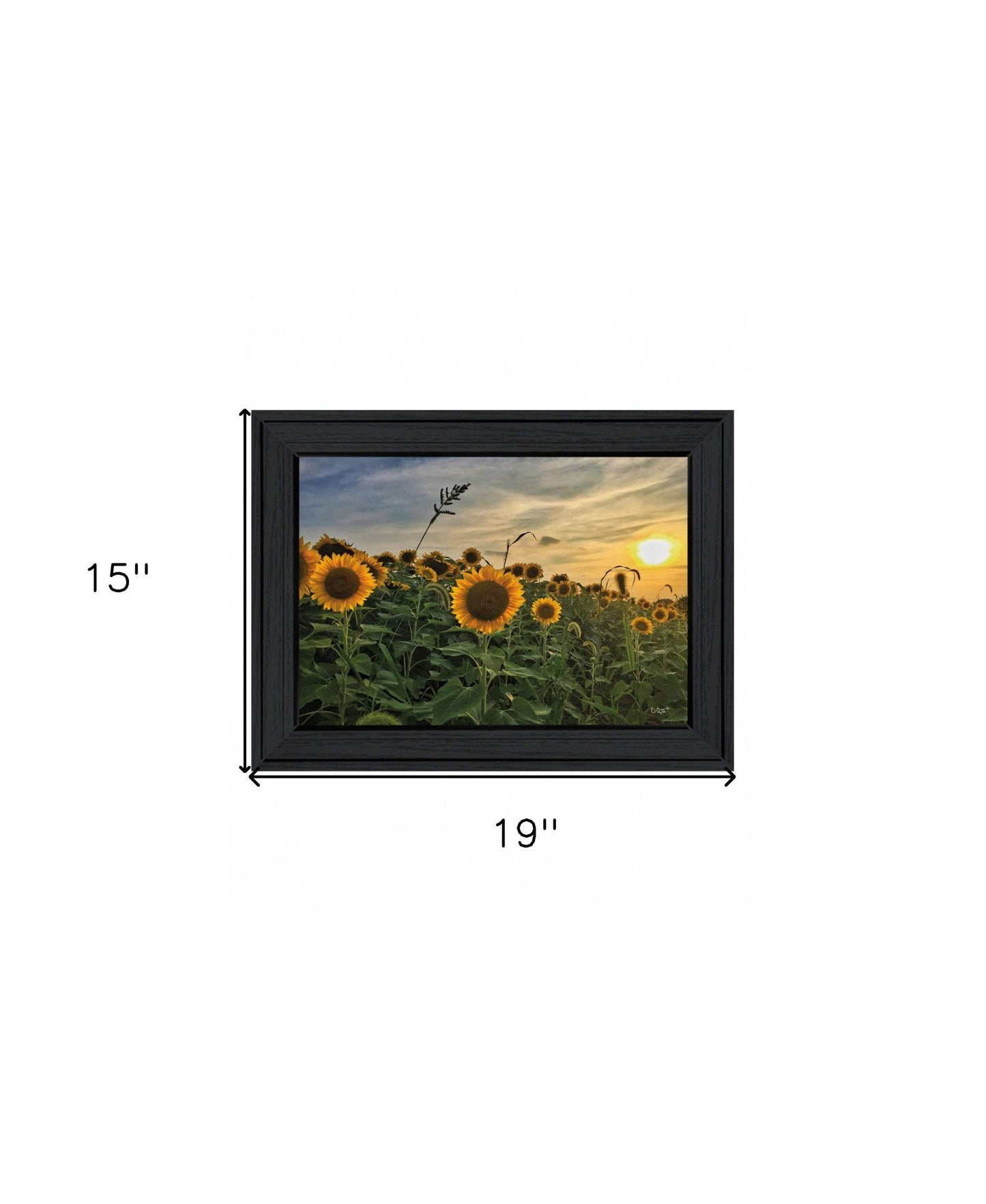 Midwest Livin I 2 Black Framed Print Wall Art - Homeroots - Flyclothing LLC