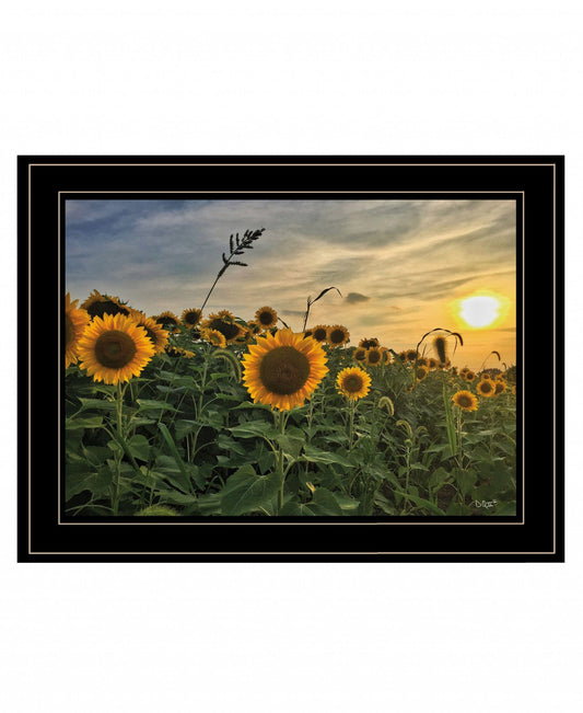 Midwest Livin I 3 Black Framed Print Wall Art - Homeroots