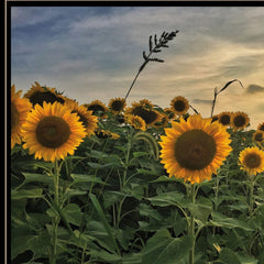 Midwest Livin I 3 Black Framed Print Wall Art - Homeroots