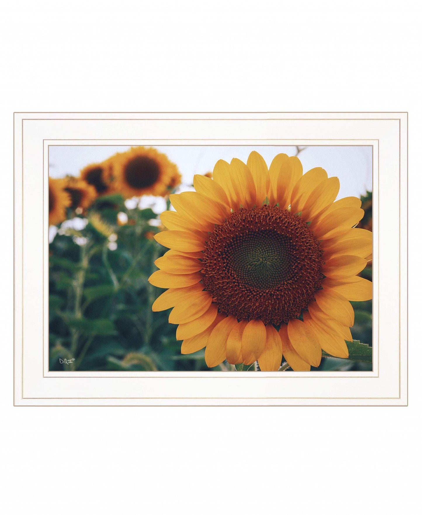 Midwest Livin II 2 White Framed Print Wall Art - Homeroots - Flyclothing LLC