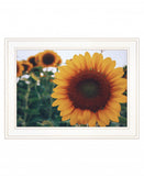 Midwest Livin II 2 White Framed Print Wall Art - Homeroots