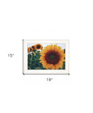 Midwest Livin II 2 White Framed Print Wall Art - Homeroots - Flyclothing LLC