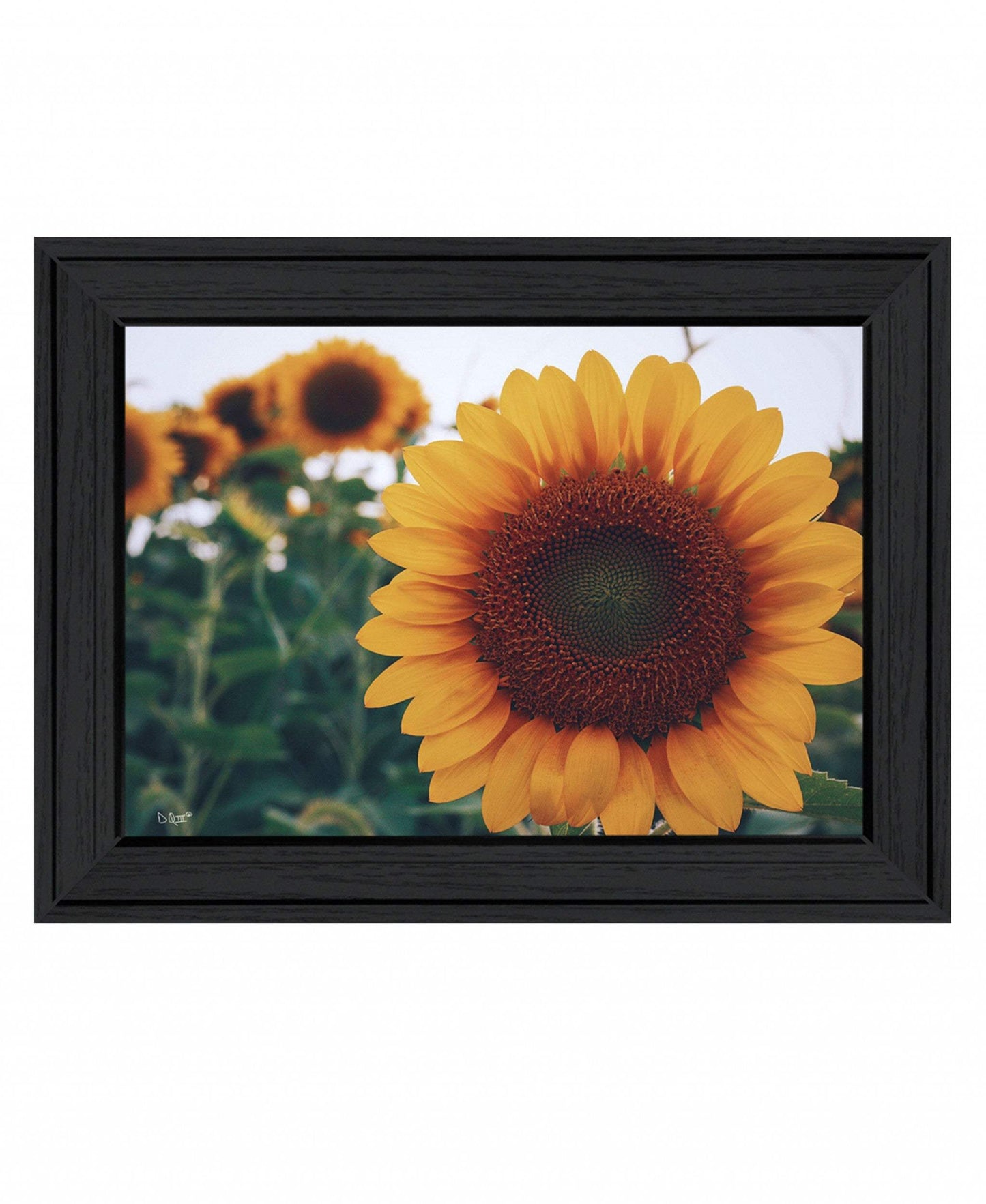 Midwest Livin II 3 Black Framed Print Wall Art - Homeroots - Flyclothing LLC