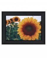 Midwest Livin II 3 Black Framed Print Wall Art - Homeroots - Flyclothing LLC