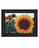 Midwest Livin II 3 Black Framed Print Wall Art - Homeroots