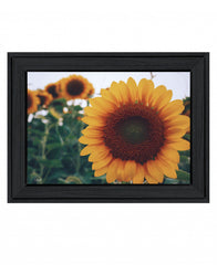 Midwest Livin II 3 Black Framed Print Wall Art - Homeroots