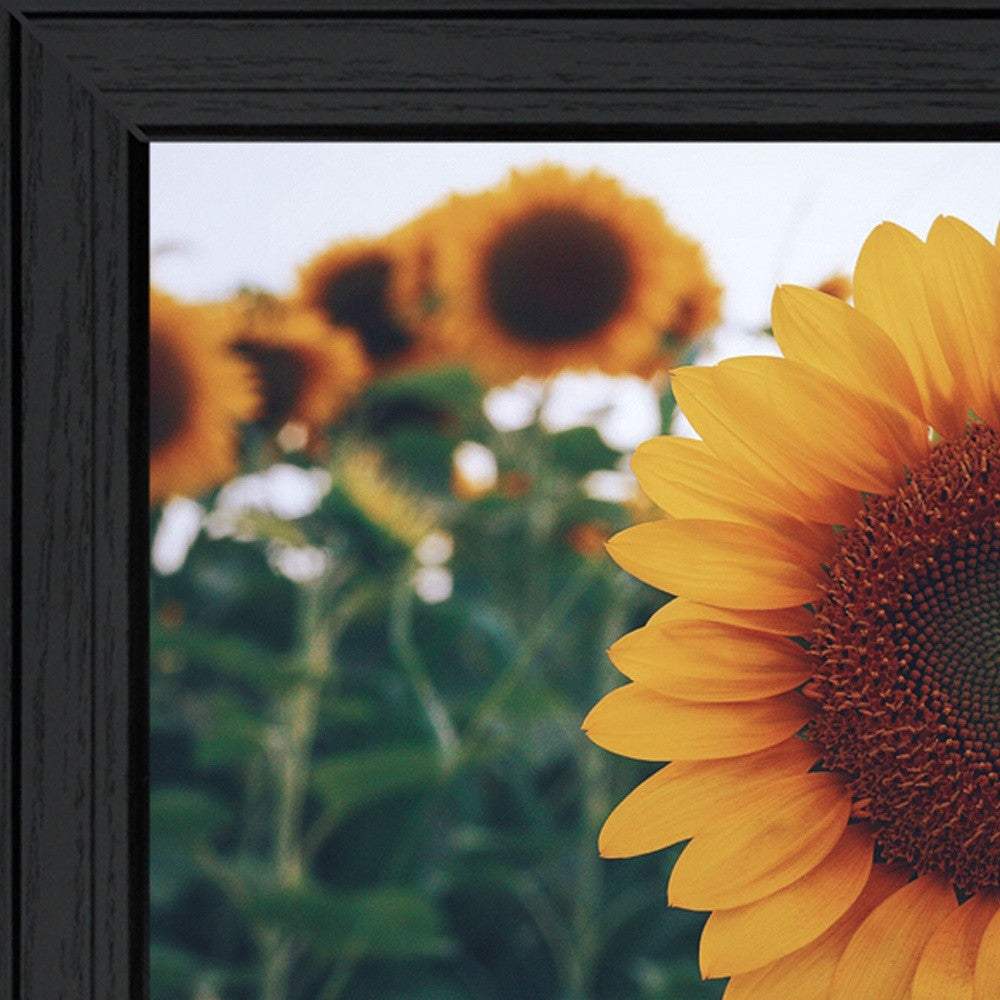 Midwest Livin II 3 Black Framed Print Wall Art - Homeroots - Flyclothing LLC