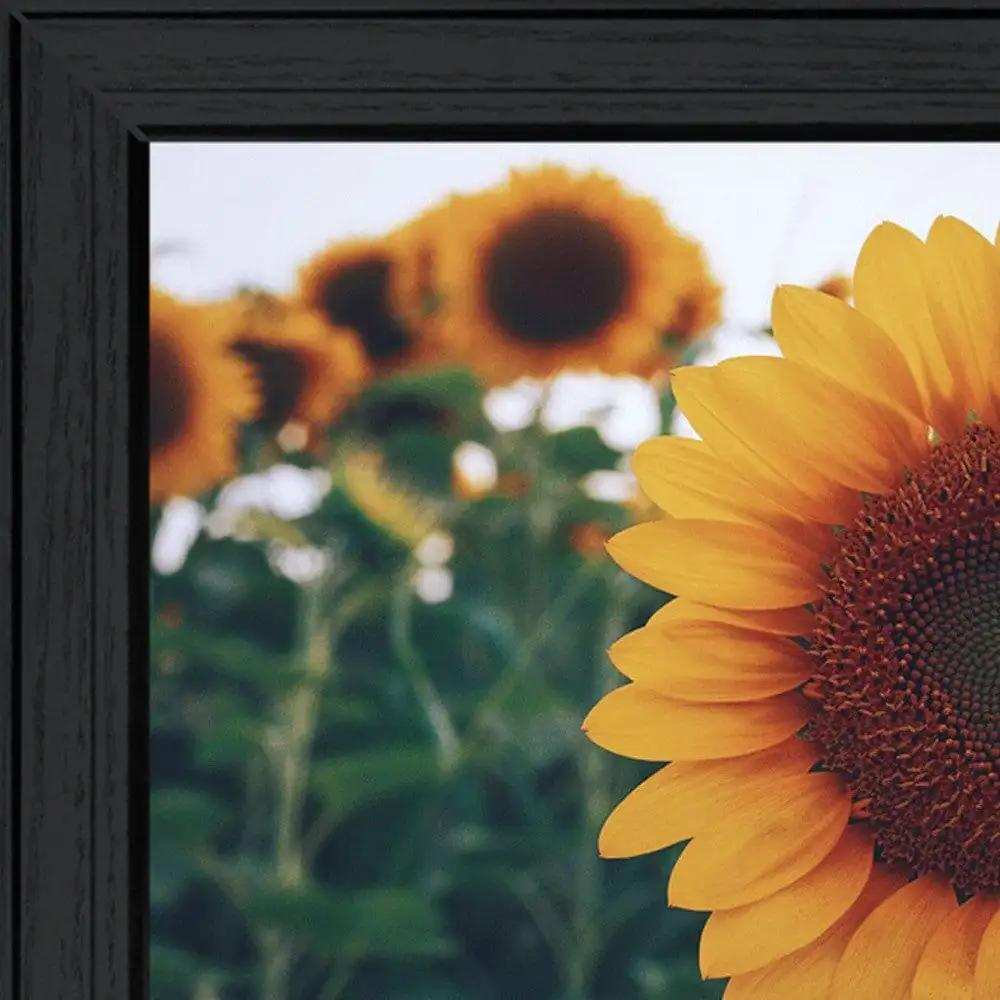 Midwest Livin II 3 Black Framed Print Wall Art - Homeroots - Flyclothing LLC