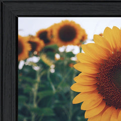 Midwest Livin II 3 Black Framed Print Wall Art - Homeroots