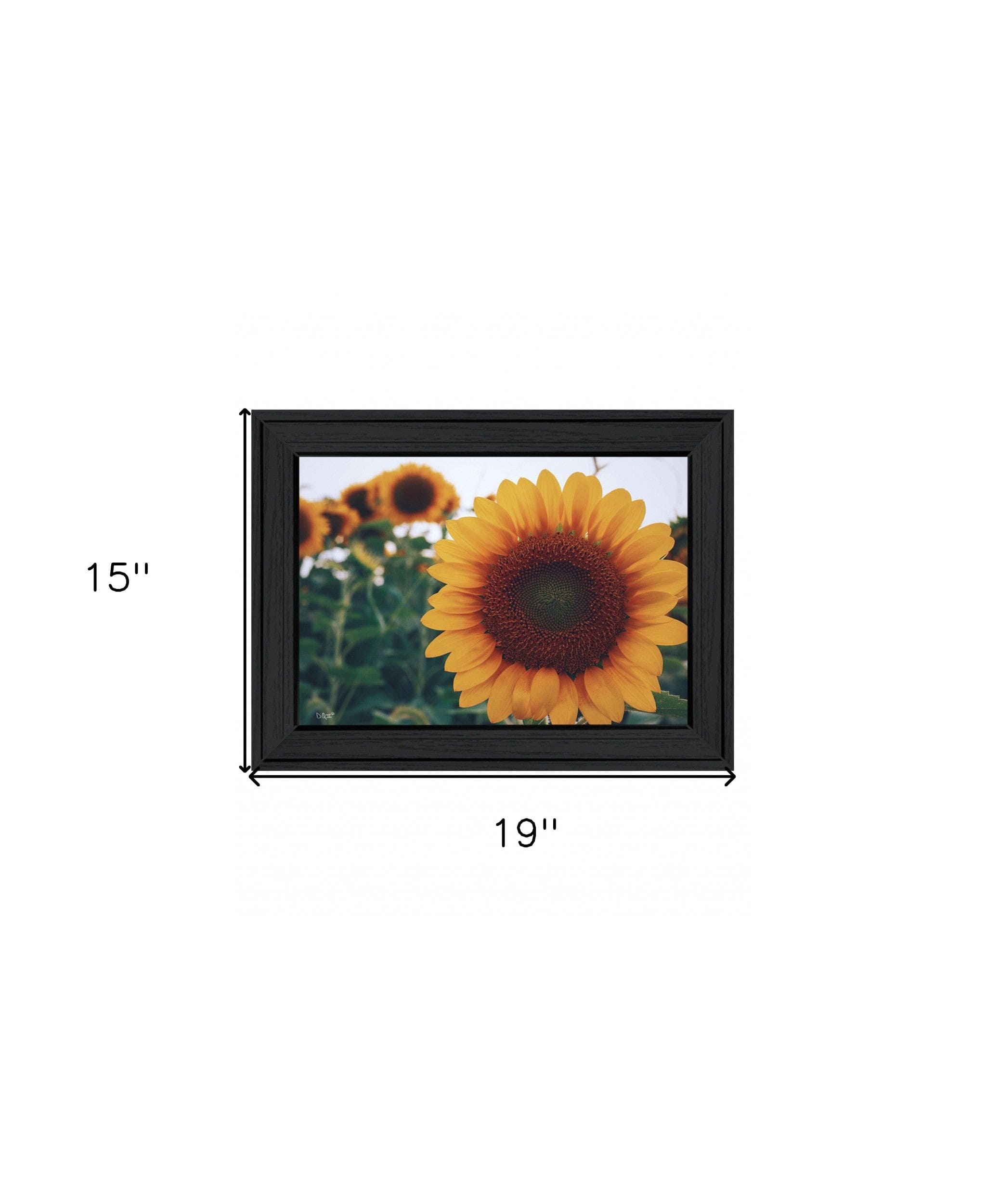 Midwest Livin II 3 Black Framed Print Wall Art - Homeroots