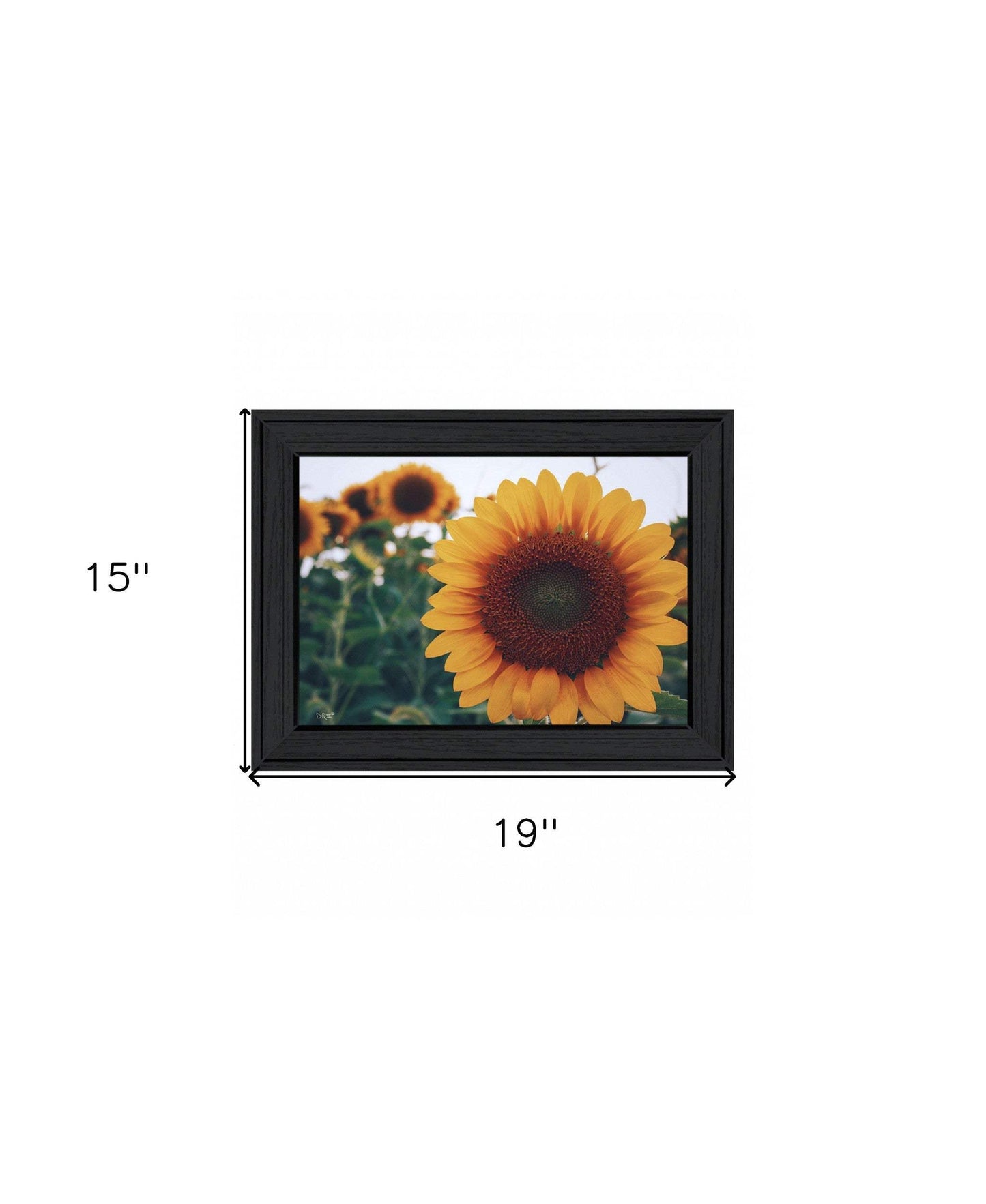 Midwest Livin II 3 Black Framed Print Wall Art - Homeroots - Flyclothing LLC