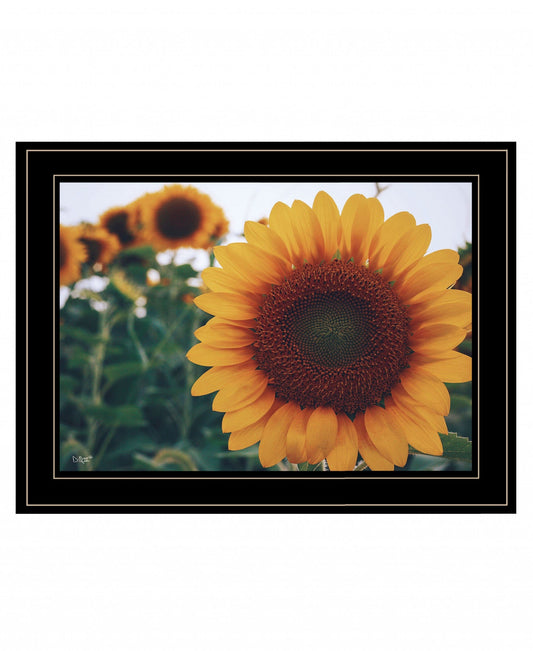 Midwest Livin II 4 Black Framed Print Wall Art - Homeroots