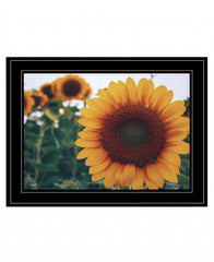 Midwest Livin II 4 Black Framed Print Wall Art - Homeroots