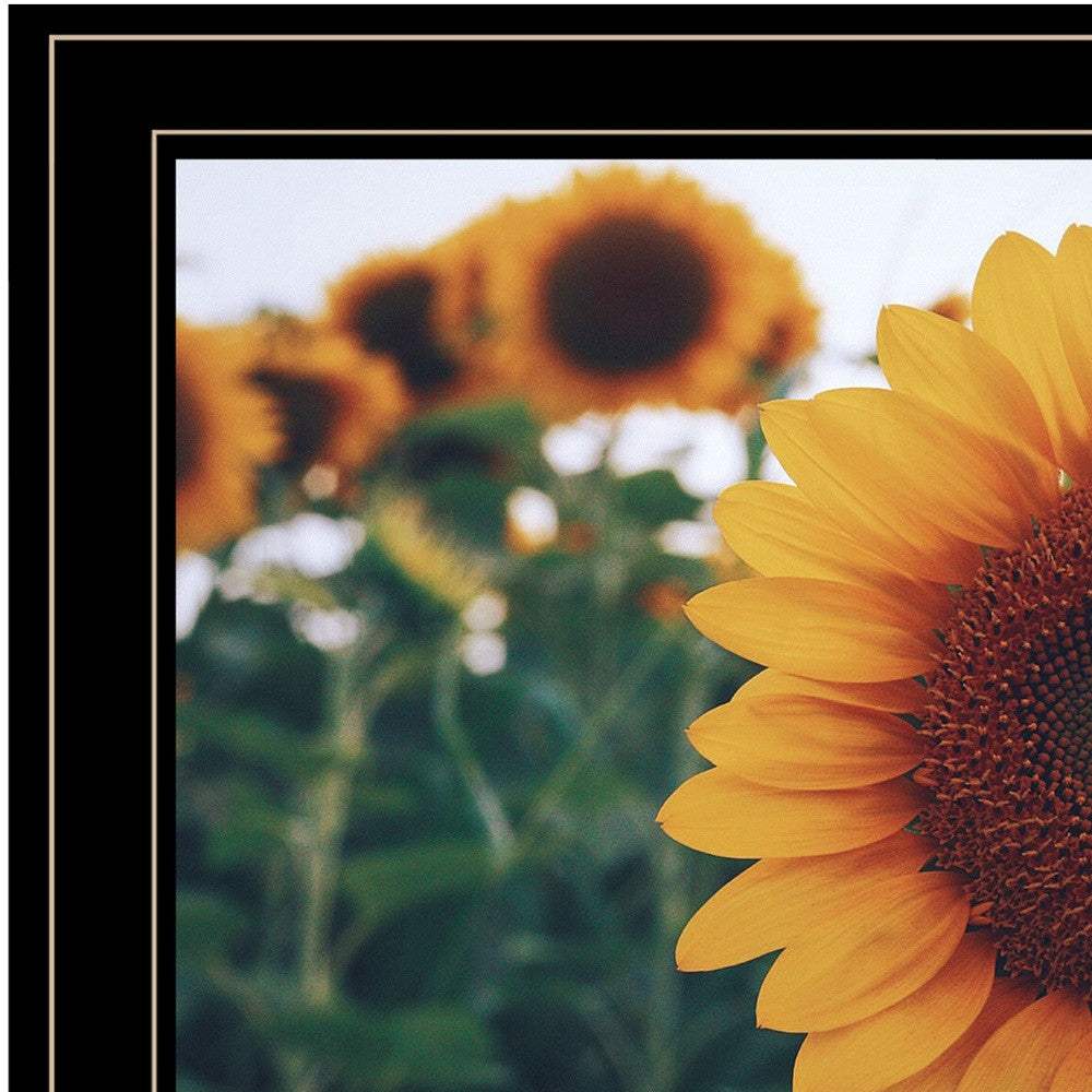 Midwest Livin II 4 Black Framed Print Wall Art - Homeroots - Flyclothing LLC