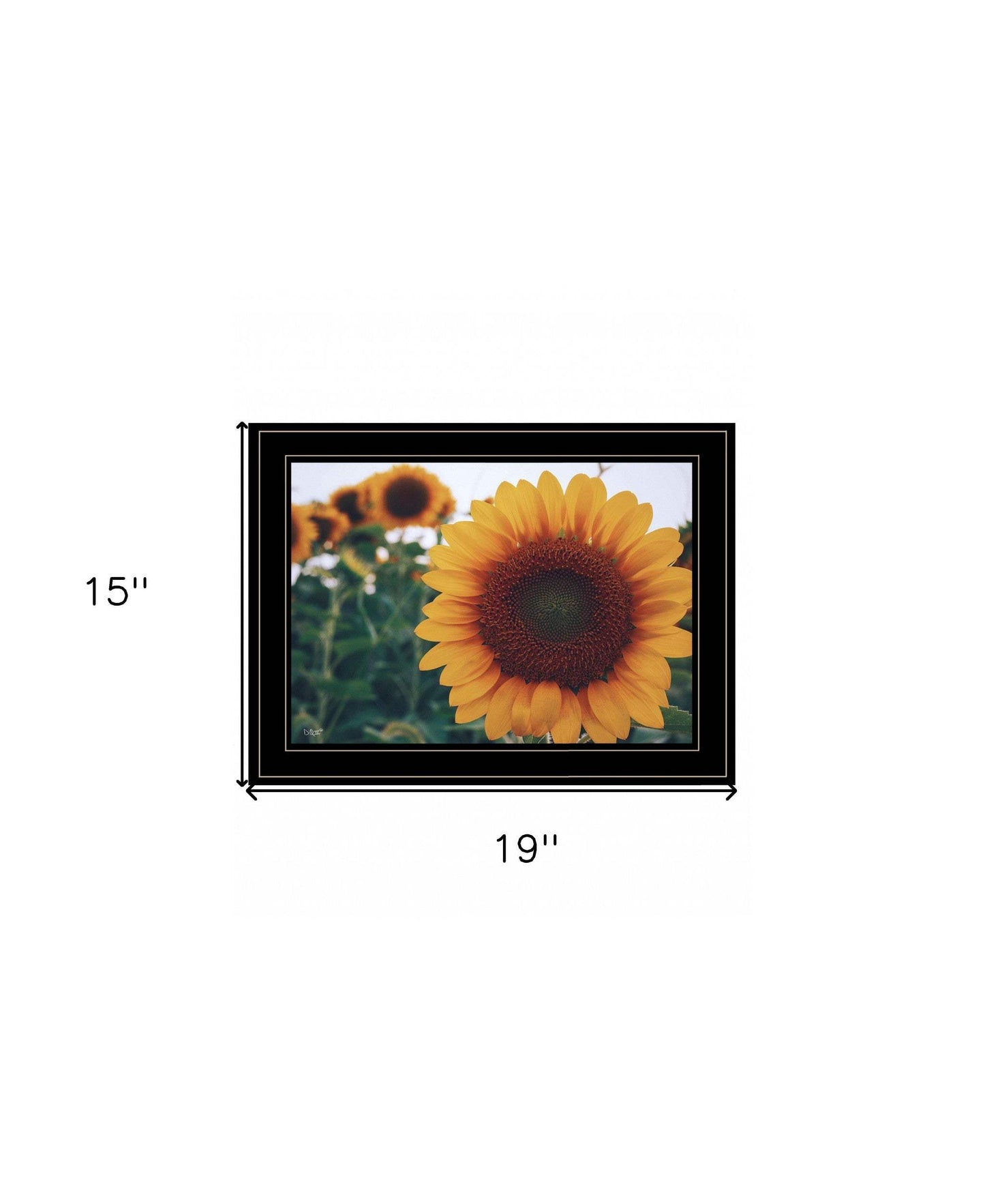 Midwest Livin II 4 Black Framed Print Wall Art - Homeroots - Flyclothing LLC