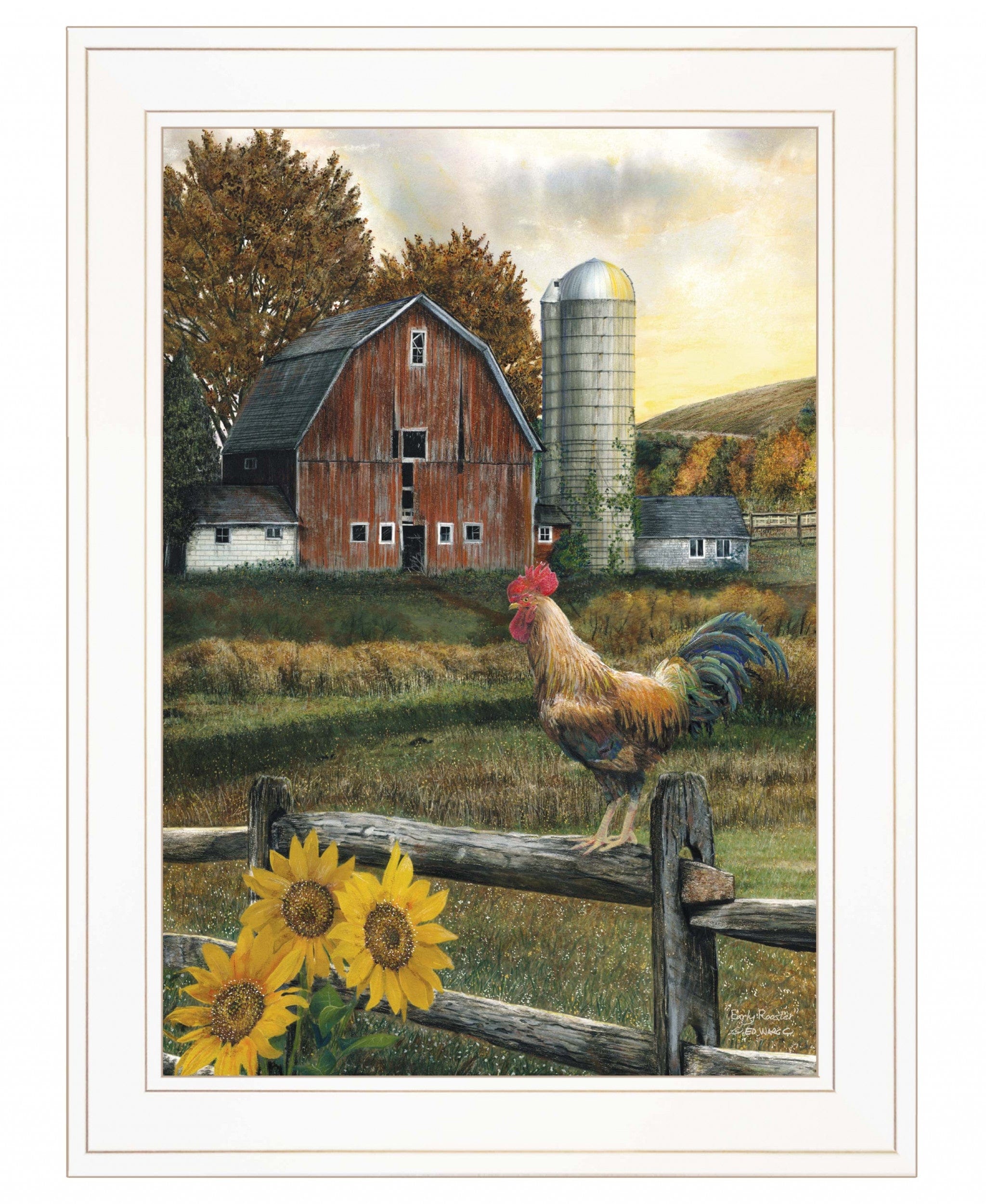 Early Rooster 2 White Framed Print Wall Art - Homeroots