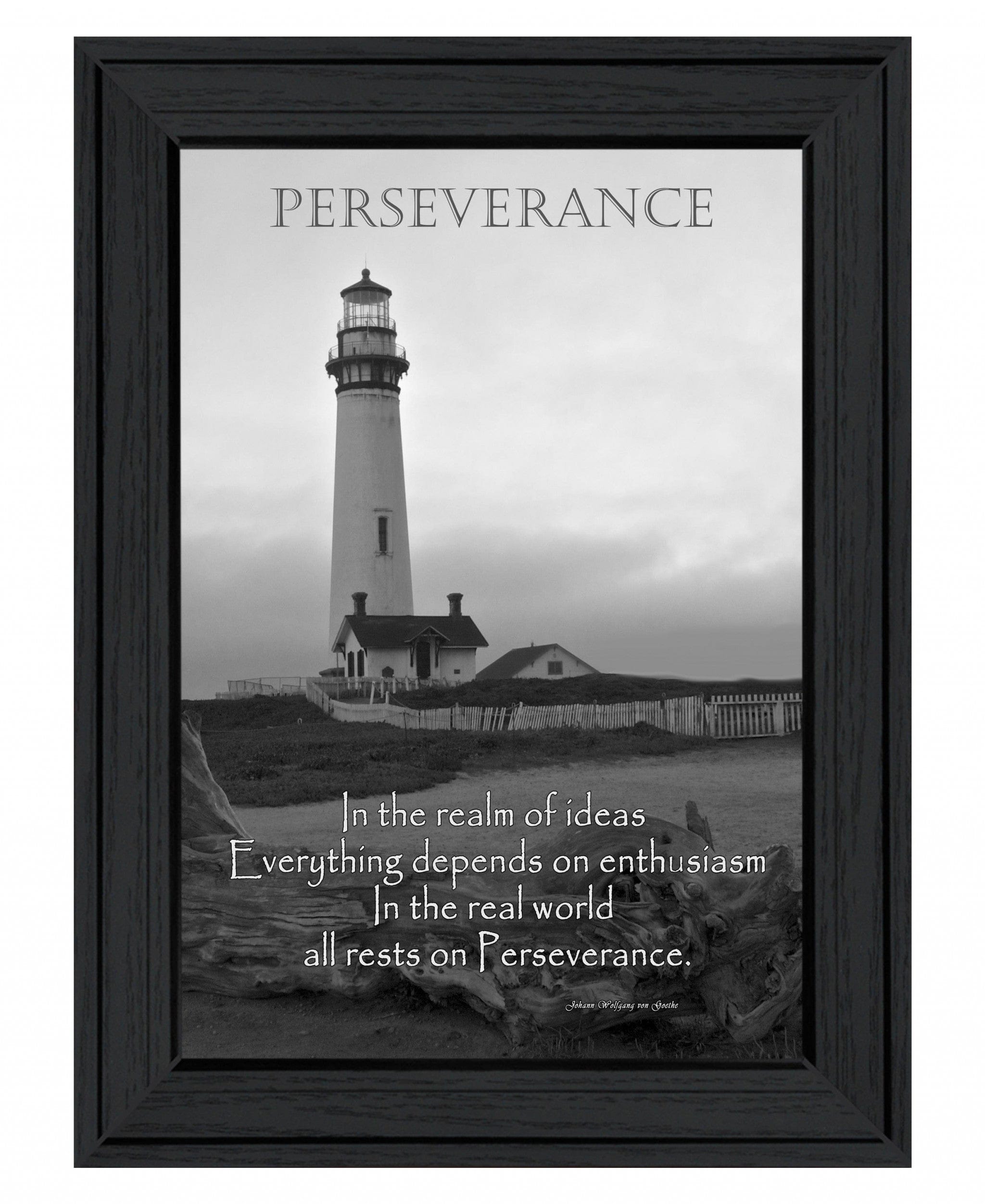 Perseverance Grayscale 1 Black Framed Print Wall Art - Homeroots