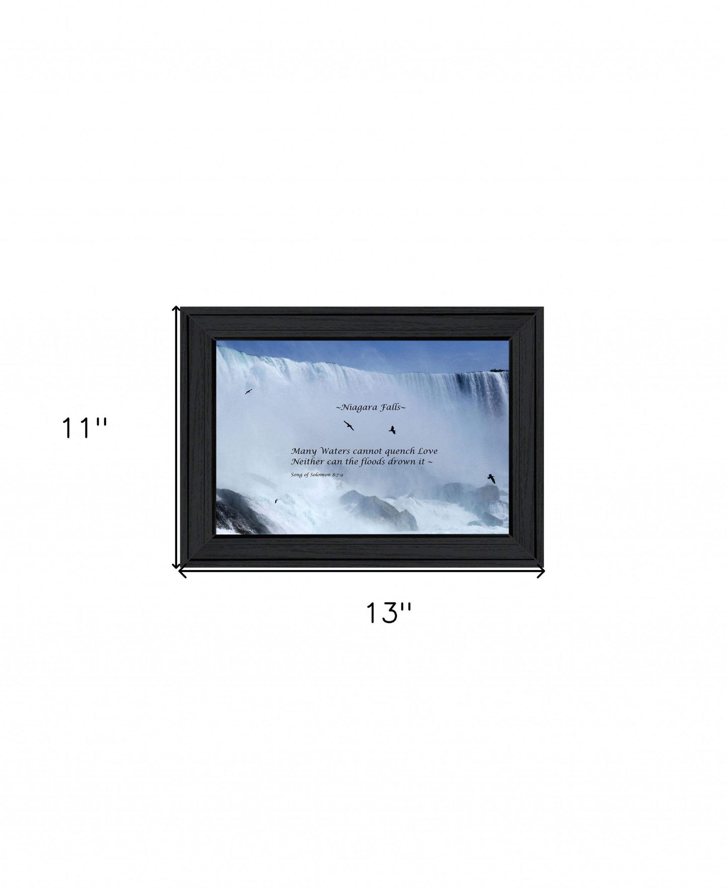 Song of Solomon Black Framed Print Wall Art - Homeroots - Flyclothing LLC